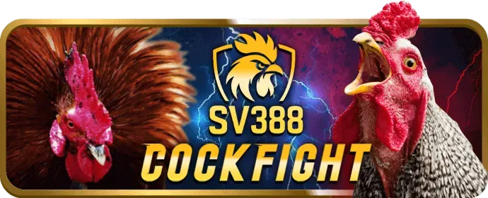 vipbet 专属优惠与VIP会员特权
